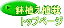 鉢植え植栽 　トップページ