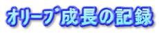 ｵﾘｰﾌﾞ成長の記録